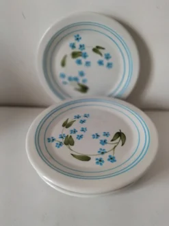 6 assiettes à dessert vintage Quadrifoglio italiennes décor myosotis