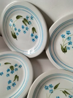 6 assiettes à dessert vintage Quadrifoglio italiennes décor myosotis