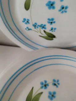 6 assiettes à dessert vintage Quadrifoglio italiennes décor myosotis