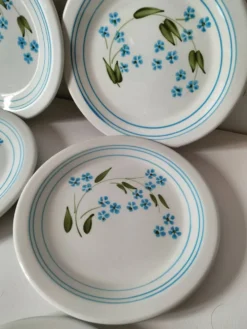 6 assiettes à dessert vintage Quadrifoglio italiennes décor myosotis