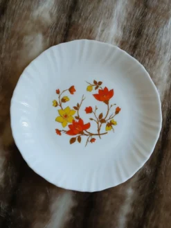 6 assiettes à dessert vintages en Arcopal