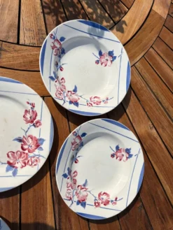 Assiettes Digoin Sarreguemines