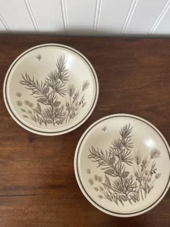 2 assiettes en céramique anglaise Grindley