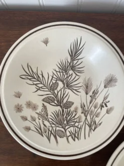 2 assiettes en céramique anglaise Grindley