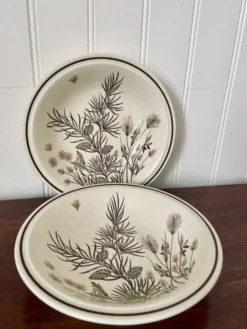 2 assiettes en céramique anglaise Grindley