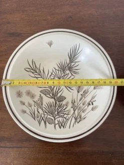 2 assiettes en céramique anglaise Grindley