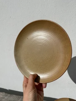 5 assiettes en dessert en grès beige