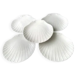 5 Assiettes en forme de coquilles St Jacques en Porcelaine de Limoges