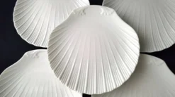 5 Assiettes en forme de coquilles St Jacques en Porcelaine de Limoges