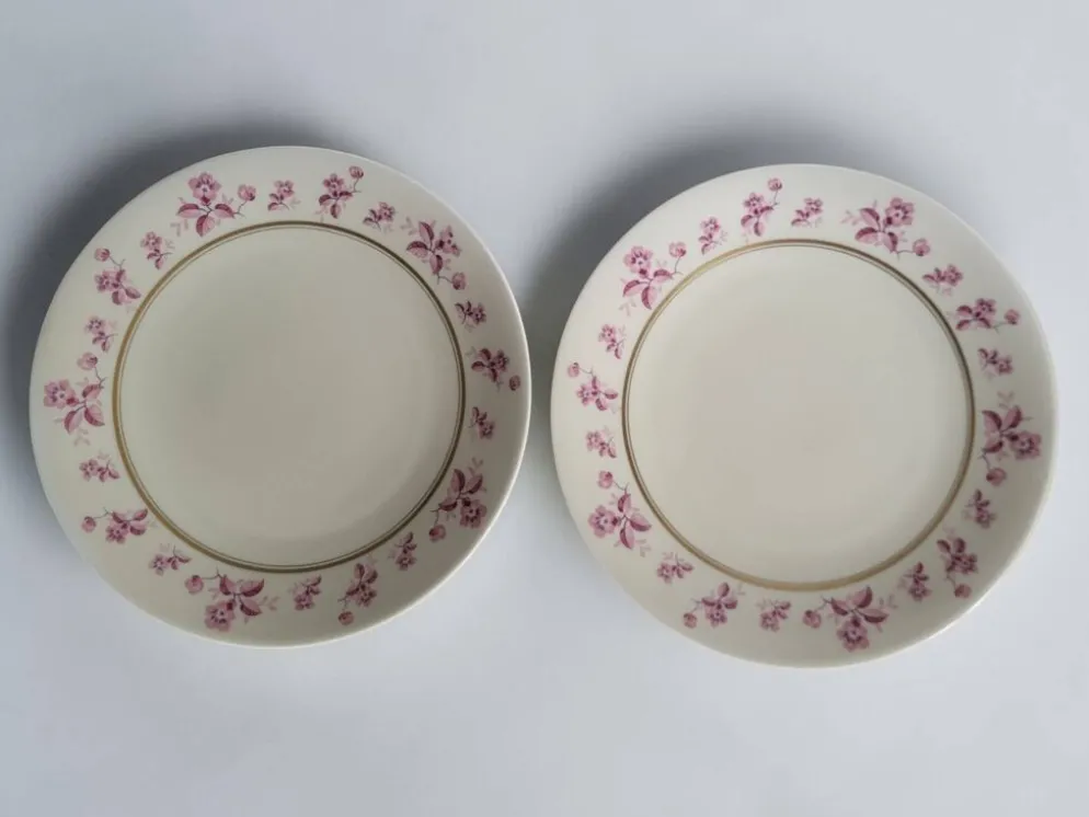 6 assiettes en porcelaine de Limoges - Raynaud & Cie