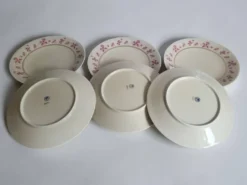 6 assiettes en porcelaine de Limoges - Raynaud & Cie