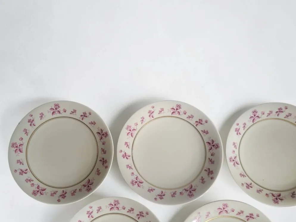 6 assiettes en porcelaine de Limoges - Raynaud & Cie
