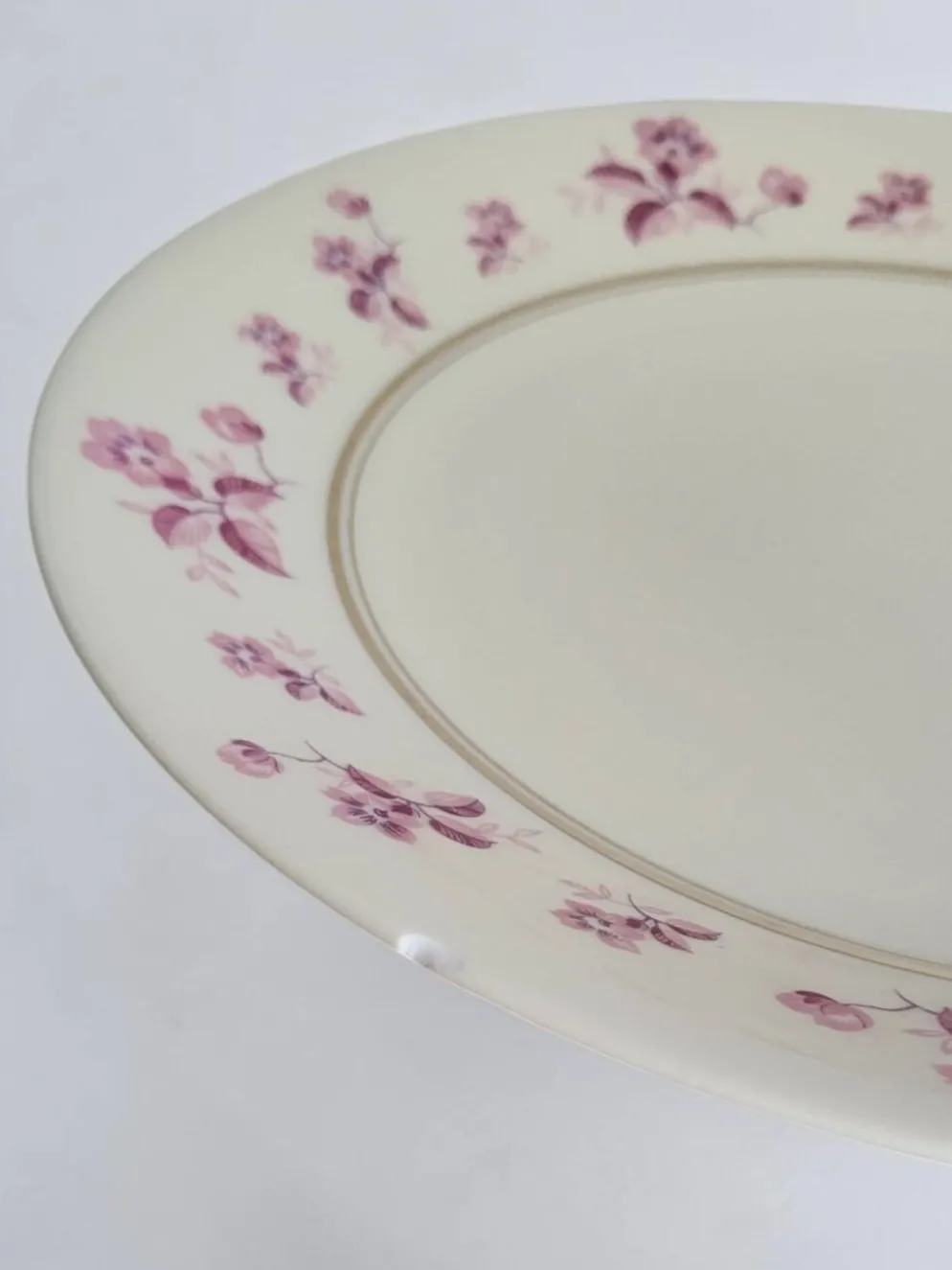 6 assiettes en porcelaine de Limoges - Raynaud & Cie