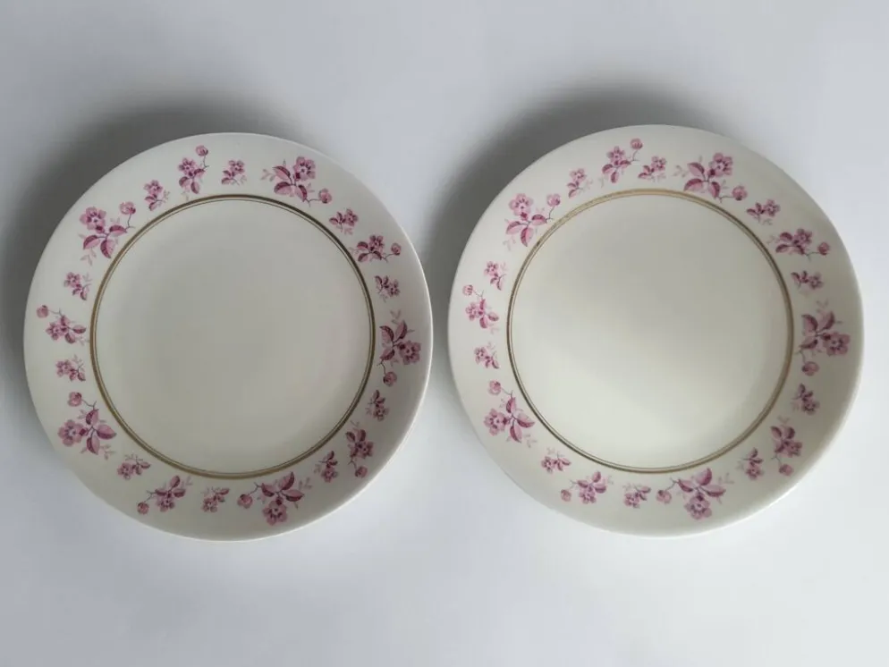 6 assiettes en porcelaine de Limoges - Raynaud & Cie
