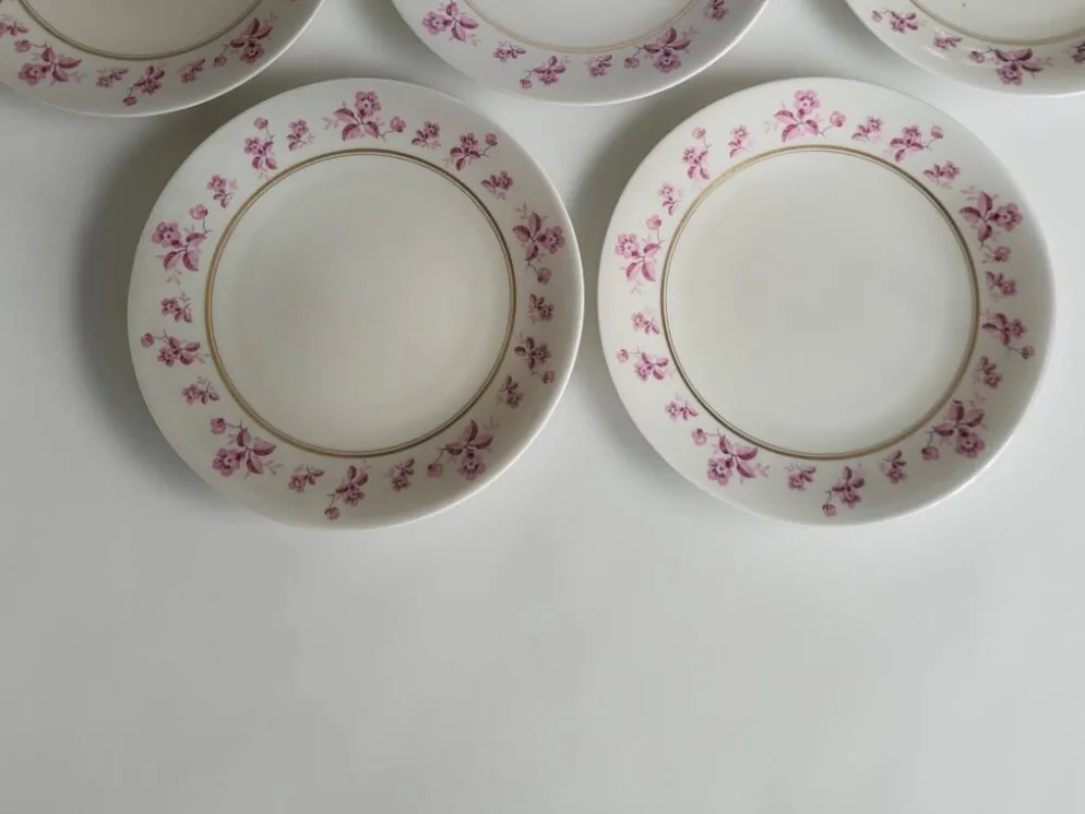 6 assiettes en porcelaine de Limoges - Raynaud & Cie