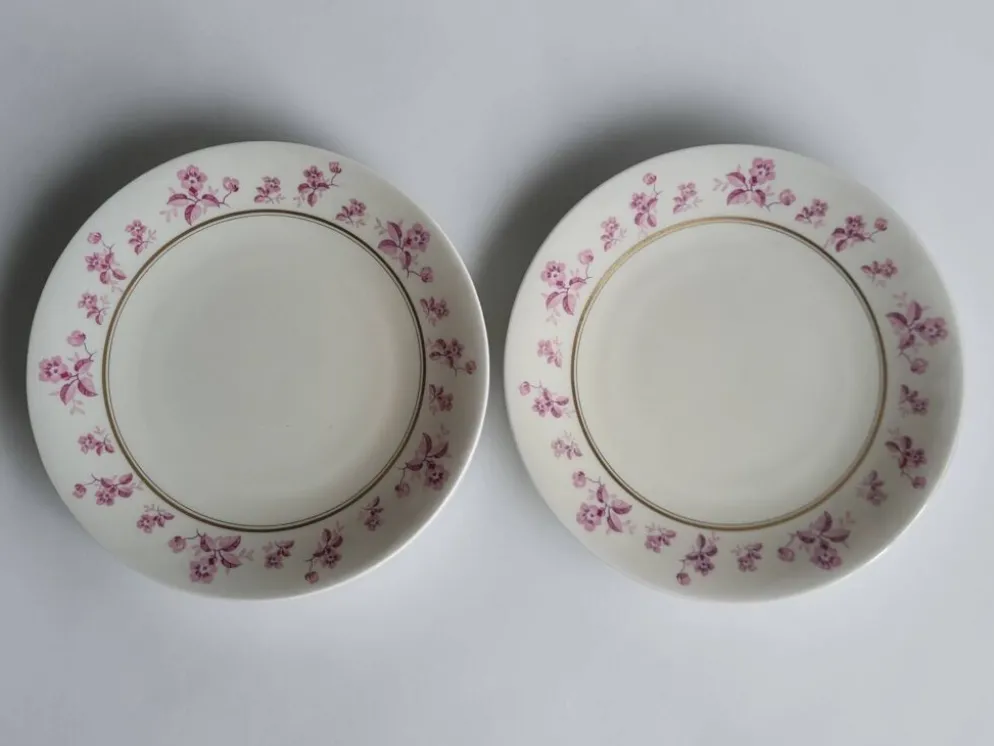 6 assiettes en porcelaine de Limoges - Raynaud & Cie