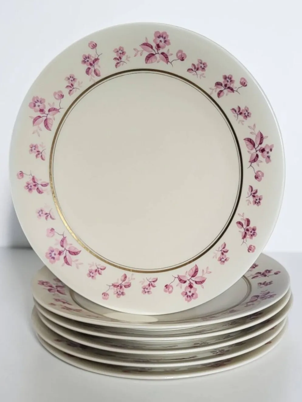 6 assiettes en porcelaine de Limoges - Raynaud & Cie