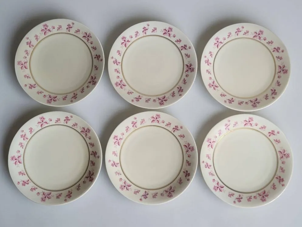 6 assiettes en porcelaine de Limoges - Raynaud & Cie