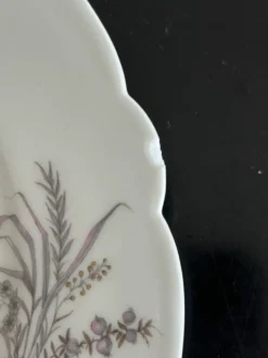 8 assiettes en porcelaine et 1 plat CH Pillivuyt & Cie