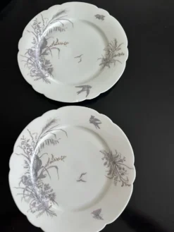 8 assiettes en porcelaine et 1 plat CH Pillivuyt & Cie