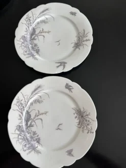 8 assiettes en porcelaine et 1 plat CH Pillivuyt & Cie
