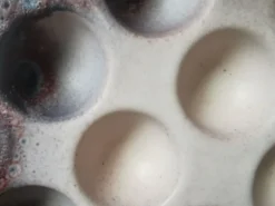 6 assiettes à escargot céramique émaillée