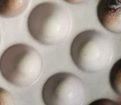 6 assiettes à escargot céramique émaillée