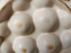 6 assiettes à escargot céramique émaillée