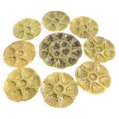 Assiettes et plat de service à coquillages, huîtres vintage Gien vert kaki