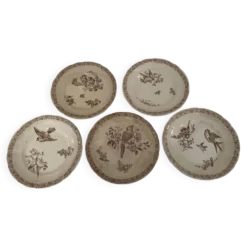 5 Assiettes faïence de Pexonne 19 ème siècle -Décor oiseaux insectes fleurs