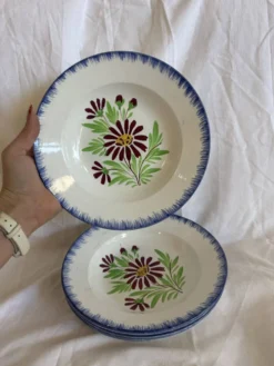 Assiettes à fleurs