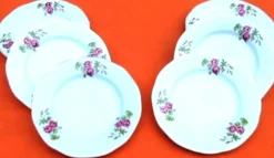 6 assiettes à fromage dessert Porcelaine blanche décor floral Arpo