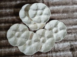 7 assiettes à huitres anciennes Gien