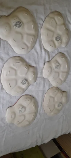 6 assiettes à huitres en faïence de Salins modèle Pyla