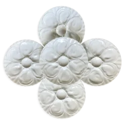 Assiettes à huitres Pillyvuyt