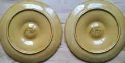 6 assiettes à huîtres