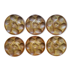 6 assiettes à huîtres