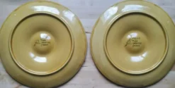 6 assiettes à huîtres