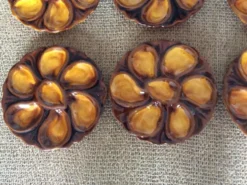 6 assiettes à huîtres
