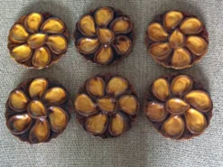 6 assiettes à huîtres