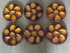 6 assiettes à huîtres