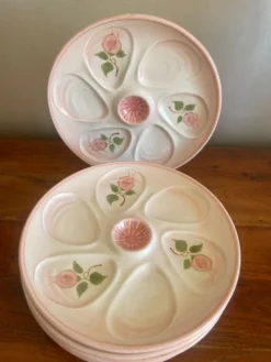 6 assiettes à huître Salins