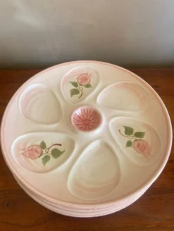 6 assiettes à huître Salins