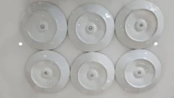 6 assiettes à huîtres en porcelaine de Limoges Lourioux et LF