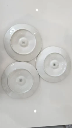 6 assiettes à huîtres en porcelaine de Limoges Lourioux et LF