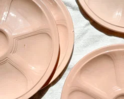 6 assiettes à huîtres en porcelaine rose digoin sarreguemines