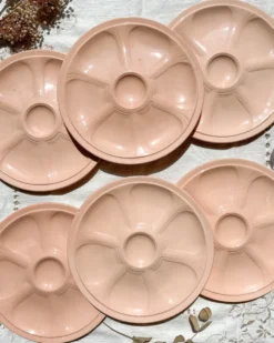 6 assiettes à huîtres en porcelaine rose digoin sarreguemines