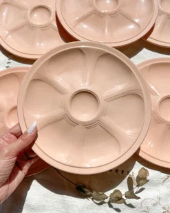 6 assiettes à huîtres en porcelaine rose digoin sarreguemines