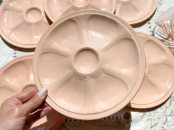 6 assiettes à huîtres en porcelaine rose digoin sarreguemines