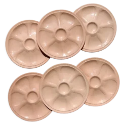 6 assiettes à huîtres en porcelaine rose digoin sarreguemines